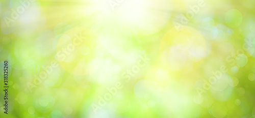 Bright green spring or summer blurred background.