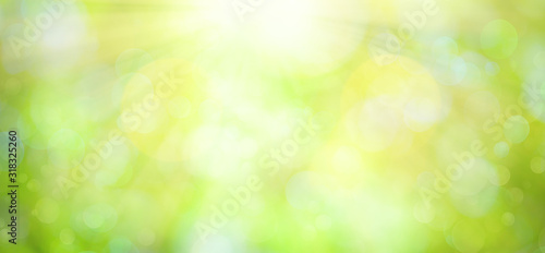 Bright green spring or summer blurred background.