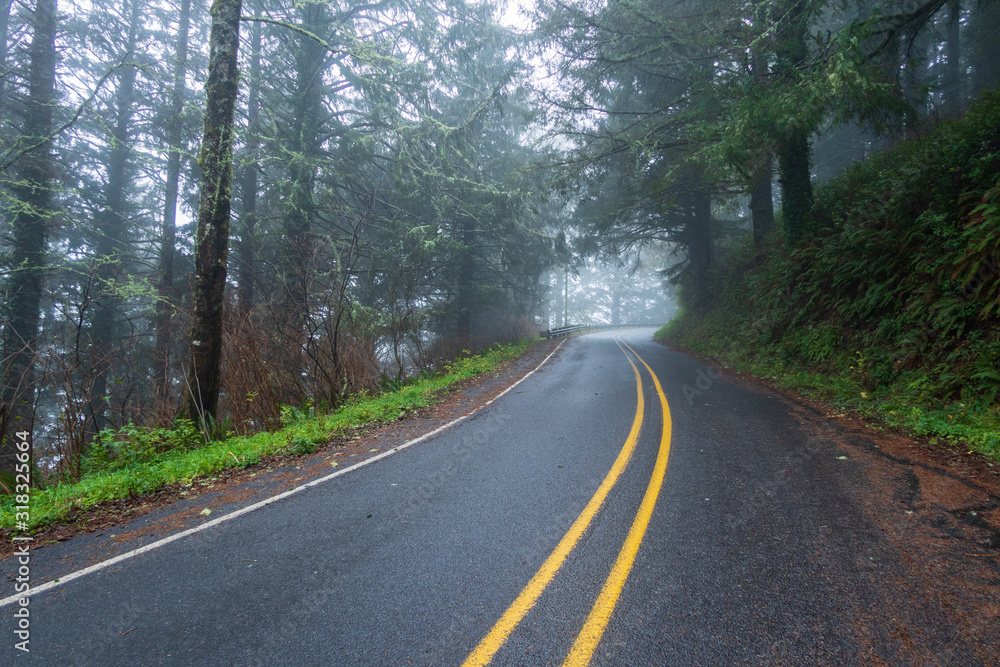 Landscape of foggy road in the forests of Oregon