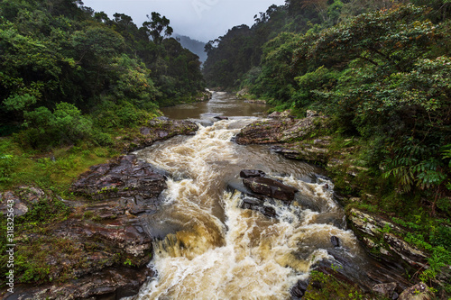 Rain forest landscape, Ranomafana, Madagascar