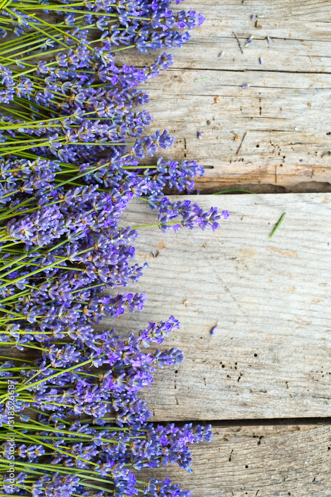 Obraz premium Bunch of Lavender on wooden background.
