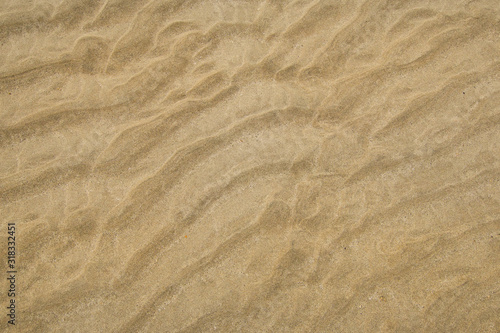 texture of ripples in the sand
