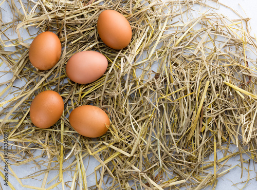 Obraz na płótnie Brown chicken eggs on straw isolated on white background. w salonie