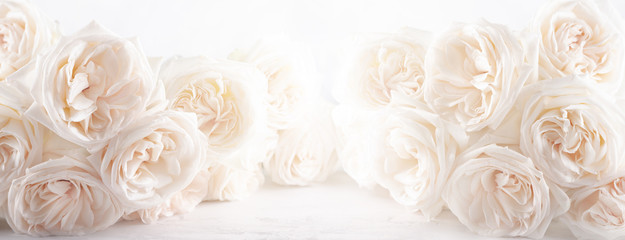 Keuken achterwand Romantische stijl Witte rozen achtergrond in zachte tinten  © Svetlana Kolpakova
