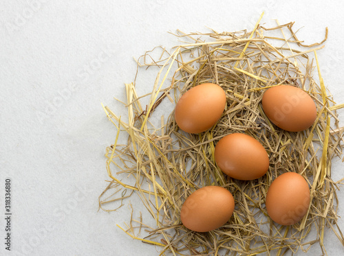 Brown chicken eggs on straw isolated on white background.