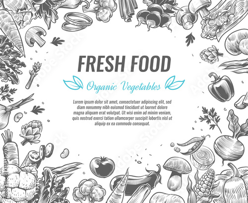 Sketch vegetables. Organic vegetable foods poster, vintage hand drawn vegan products brochures, banner, farmer market design vector background