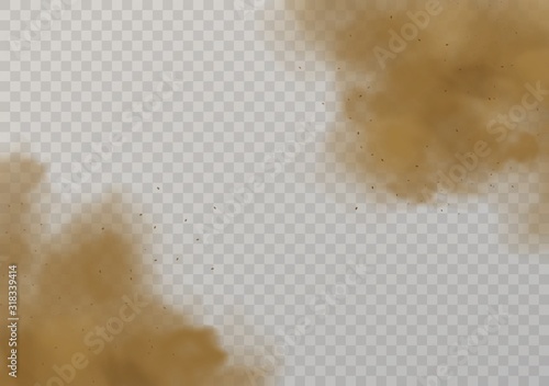 Sand cloud. Mud dust splashes, 3d dirty soil particles. Allergic pollution, sandy air smoke vector background