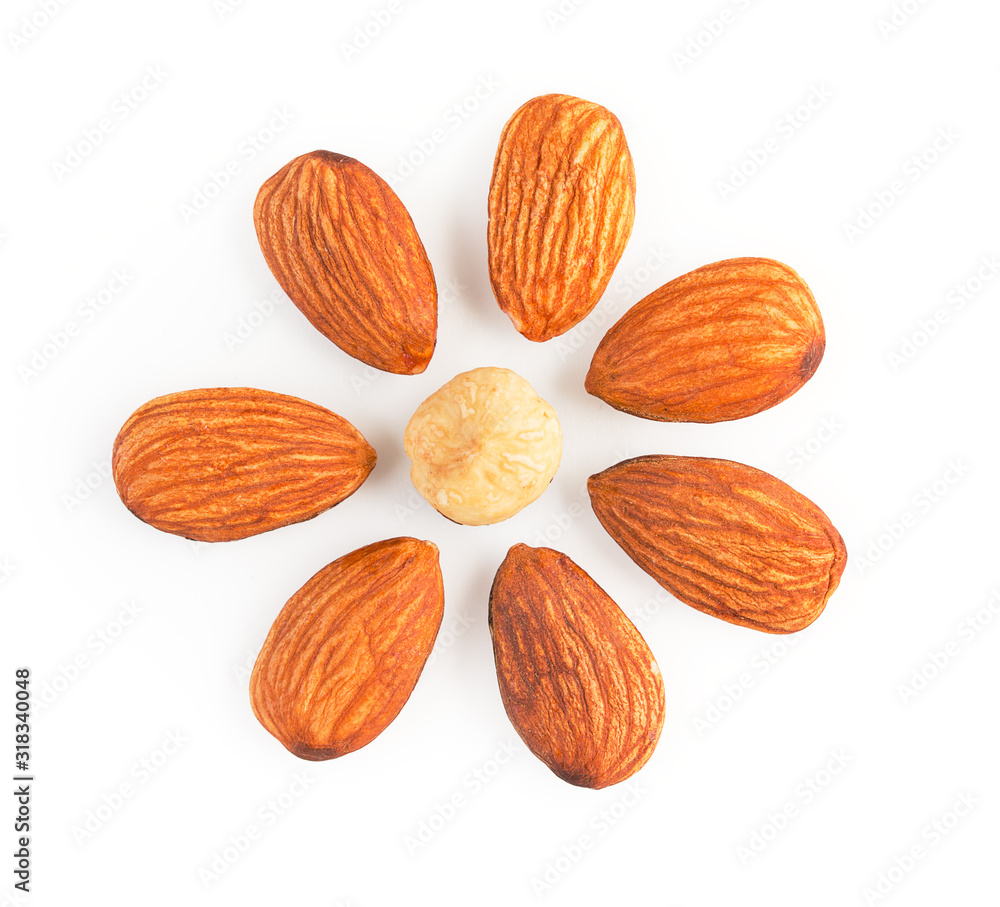 Kernels of nuts almonds and hazelnuts lying in the shape of a flower isolated on white background top view Kernels of nuts almonds and hazelnuts lying in the shape of a flower isolated on white background top view