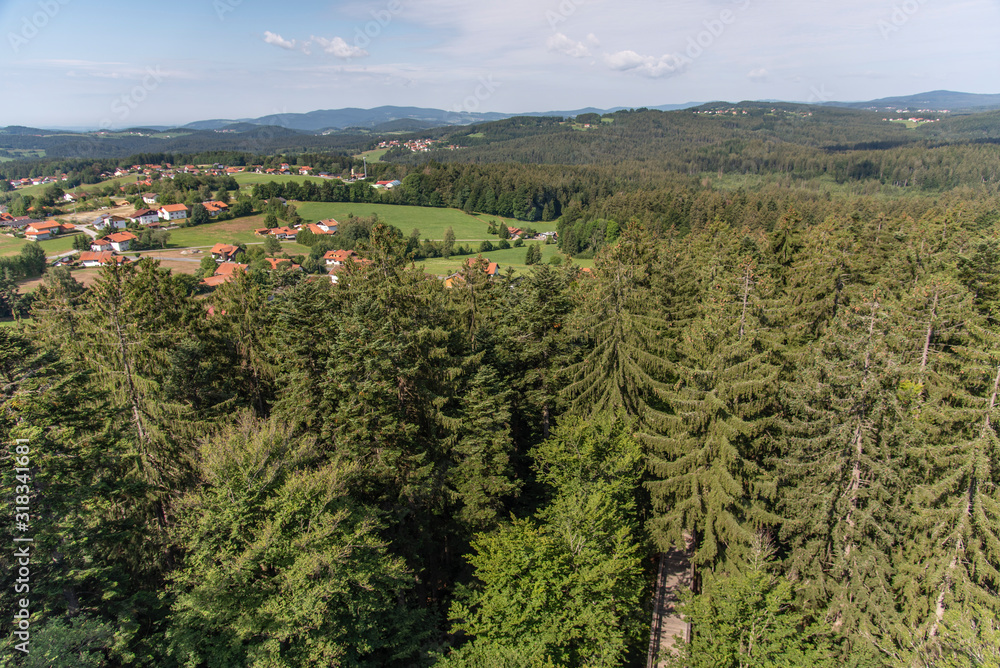 Tree tower, Tree Top Walk, Bavarian Forest National Park, Neuschönau, Bavaria, Germany