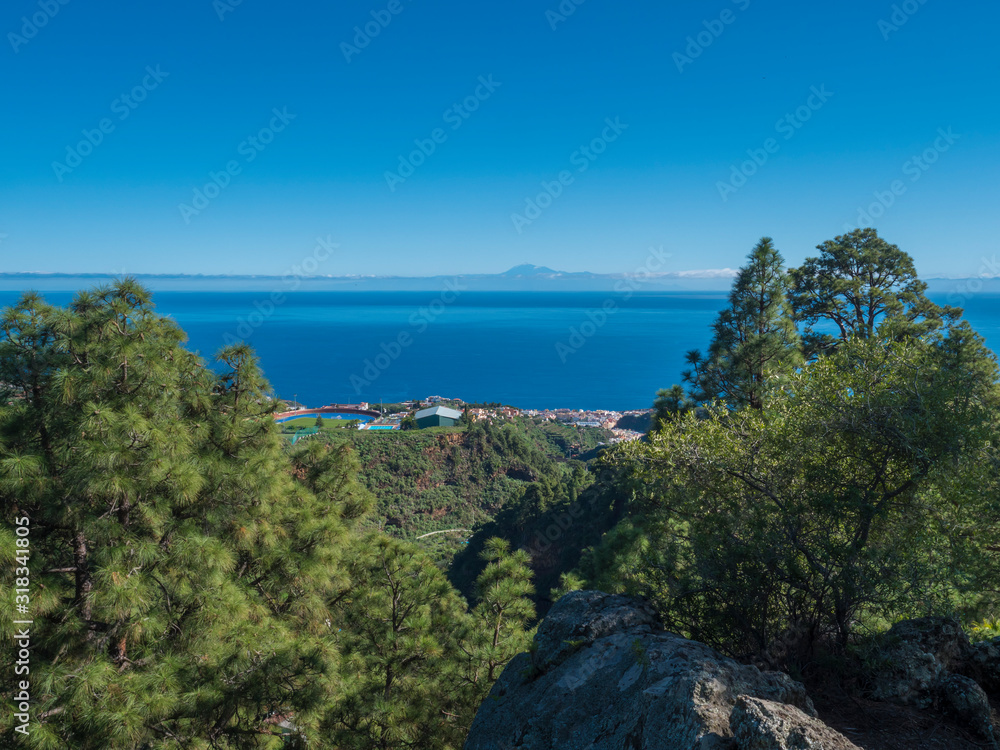 View on beautiful lush lanscape from hiking trail Barranco de la Madera with pine tree forest and sea on Santa Cruz de la Palma, blue sky. La Palma Island, Canary Islands, Spain