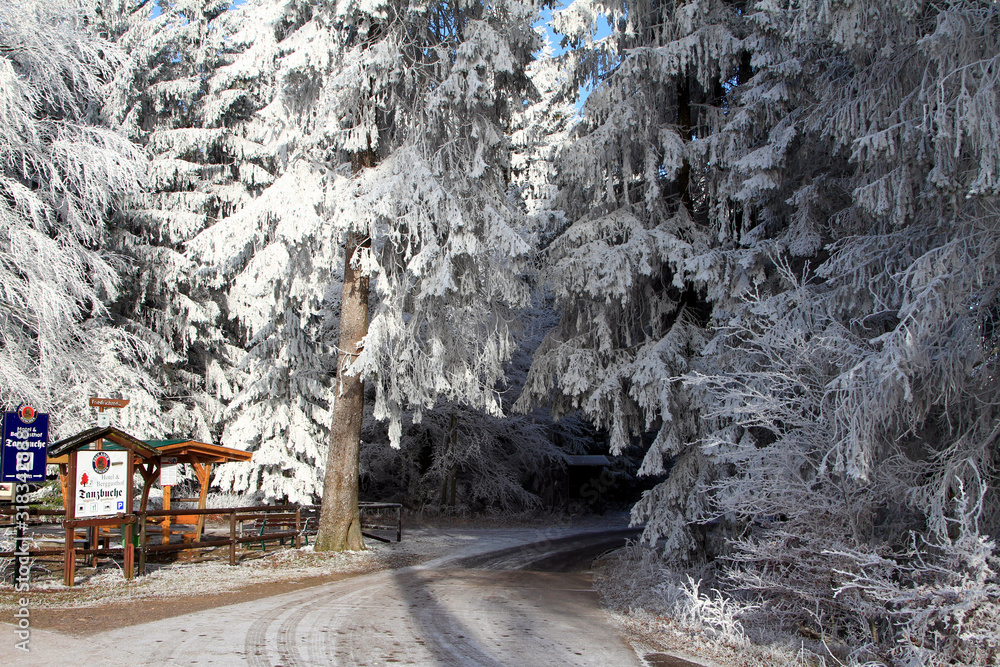 Hoar frost, Ice, Ice crystal, Heuberg, Friedrichroda, Thuringia, Germany, Europe Hoar frost, Ice, Ice crystal, Heuberg, Friedrichroda, Thuringia, Germany, Europe