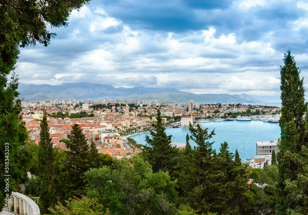 Split, Croatia: View over old town with colorful buildings, Riva Promenade, palm trees and bay from Marjan hill. Mountains in the background, trees in front. Popular touristic destination