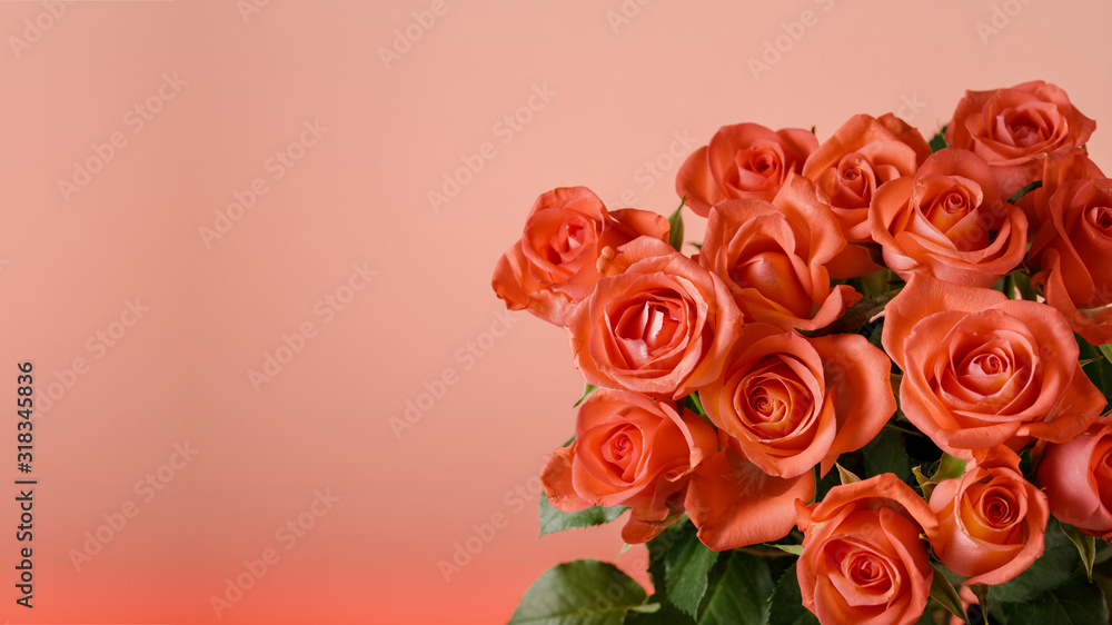 Festive blurred red background with a bouquet of gorgeous coral roses. Copy spaces for your text Festive blurred red background with a bouquet of gorgeous coral roses. Copy spaces for your text