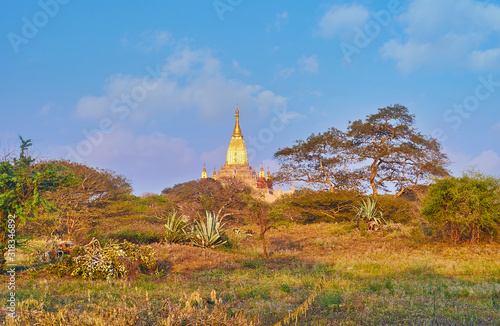 The golden tower of Ananda Temple, Bagan, Myanmar photo