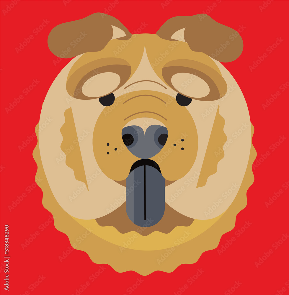 Chow Chow Dog Chow Chow Dog