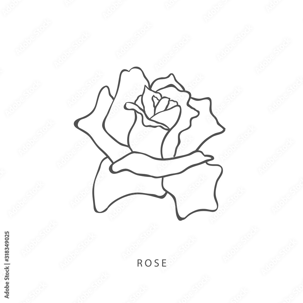 Greenery design elements. Botanical logos. Greenery design elements. Botanical logos.