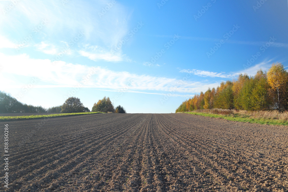 The furrows of the plowed field at the edge of the forest. Free soil for planting crops. Agricultural business. Technology v raschivaniya food. Seasonal field work. Farmland. The quality of the soil