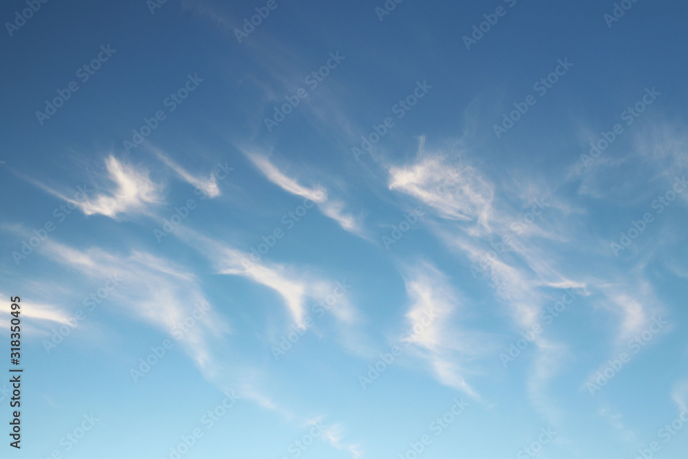 Cirrus clouds on a clear blue sky. Weather forecast. Water in a gaseous state in nature. The atmosphere of the earth. The effect of humidity on agricultural production. The symbol of freedom Cirrus clouds on a clear blue sky. Weather forecast. Water in a gaseous state in nature. The atmosphere of the earth. The effect of humidity on agricultural production. The symbol of freedom