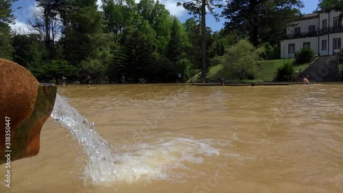 Wallpaper Mural Natural thermal water springs in the swimming pool of Furnas Terra Nostra Park. Sao Miguel, Azores, Portugal.  Torontodigital.ca