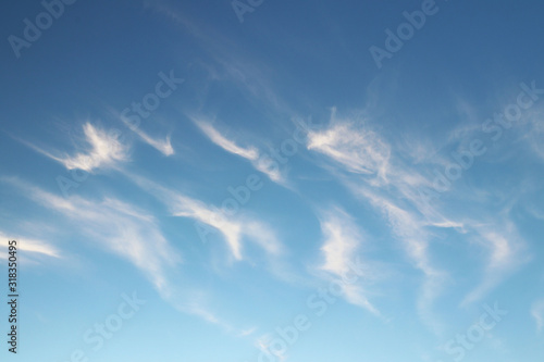 Cirrus clouds on a clear blue sky. Weather forecast. Water in a gaseous state in nature. The atmosphere of the earth. The effect of humidity on agricultural production. The symbol of freedom