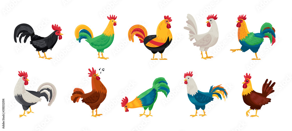Cock of animal isolated cartoon set icon.Vector illustration set rooster cockerel.Vector cartoon icon cock of animal. - obrazy, fototapety, plakaty 