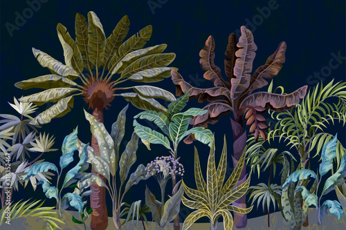 Border with jungle trees, palm, banana and other.