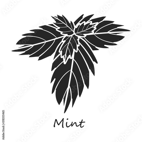 Mint vector icon.Black,simple vector icon isolated on white background mint .