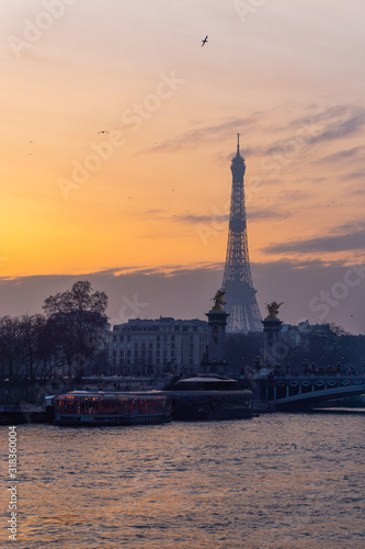 Paris, view from pont de la concorde on eiffel tower at sunset. Birds and boats