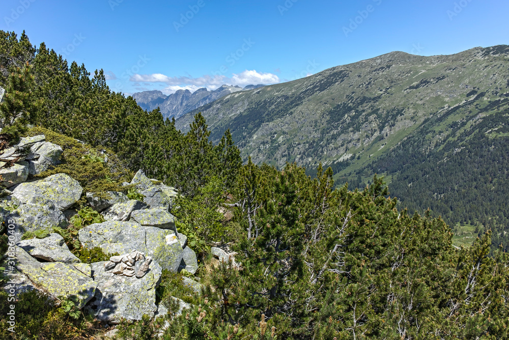 Fototapeta premium Landscape near The Fish Lakes (Ribni Ezera), Rila mountain
