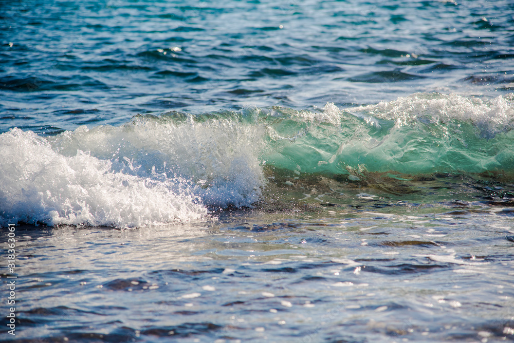 Fototapeta premium Transparency of sea water photographed in a wave