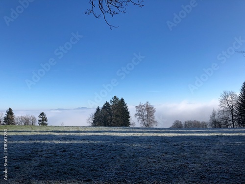 Wallpaper Mural Winter 2020 Torontodigital.ca