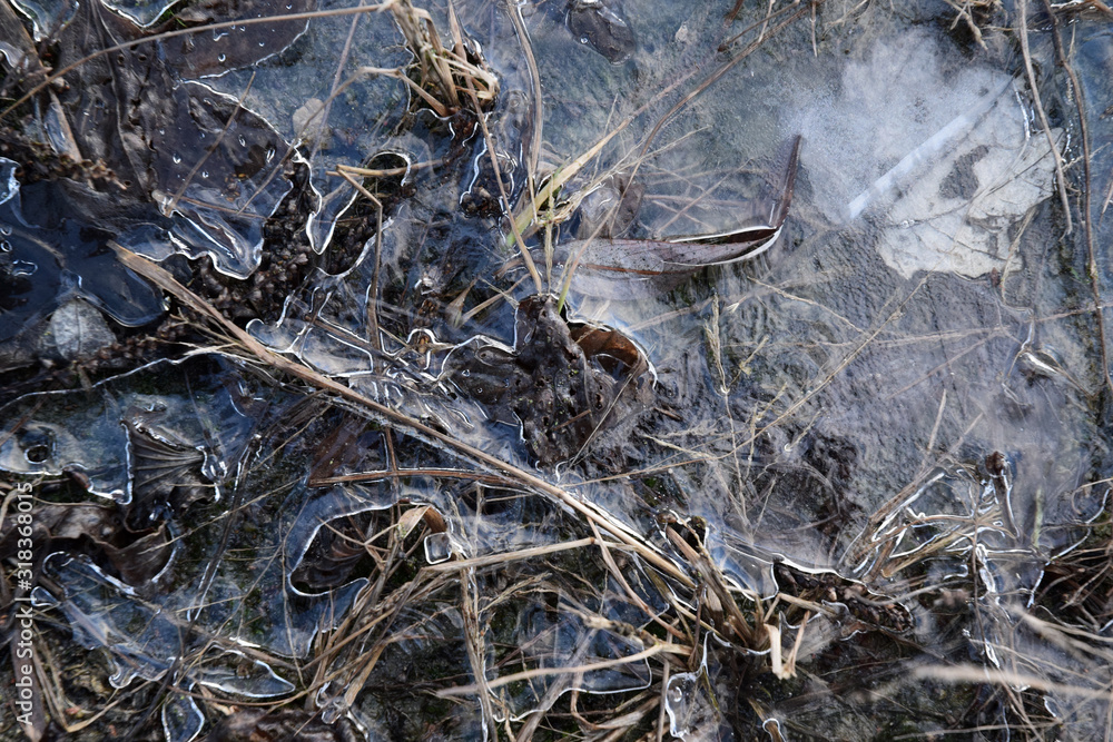 frozen puddle ice winter frozen puddle ice winter