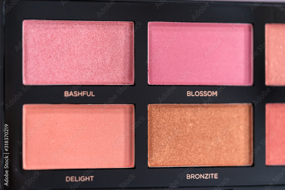 Fototapeta premium Palette blush