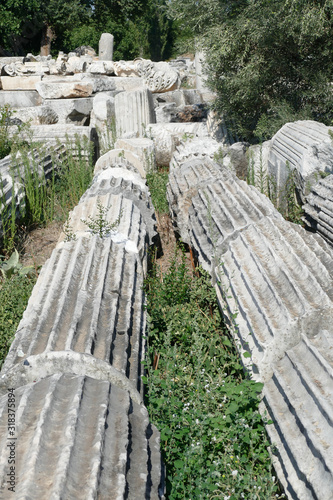 Ionic  columns recovered by archaeologists photo