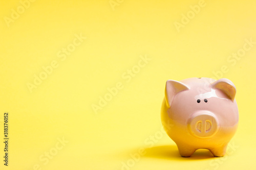 Piggy bank and golden coin. Savings and finance concept