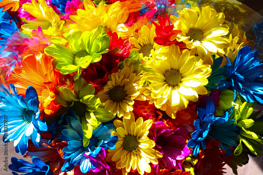 Obraz Vivid bright multi colored daisies