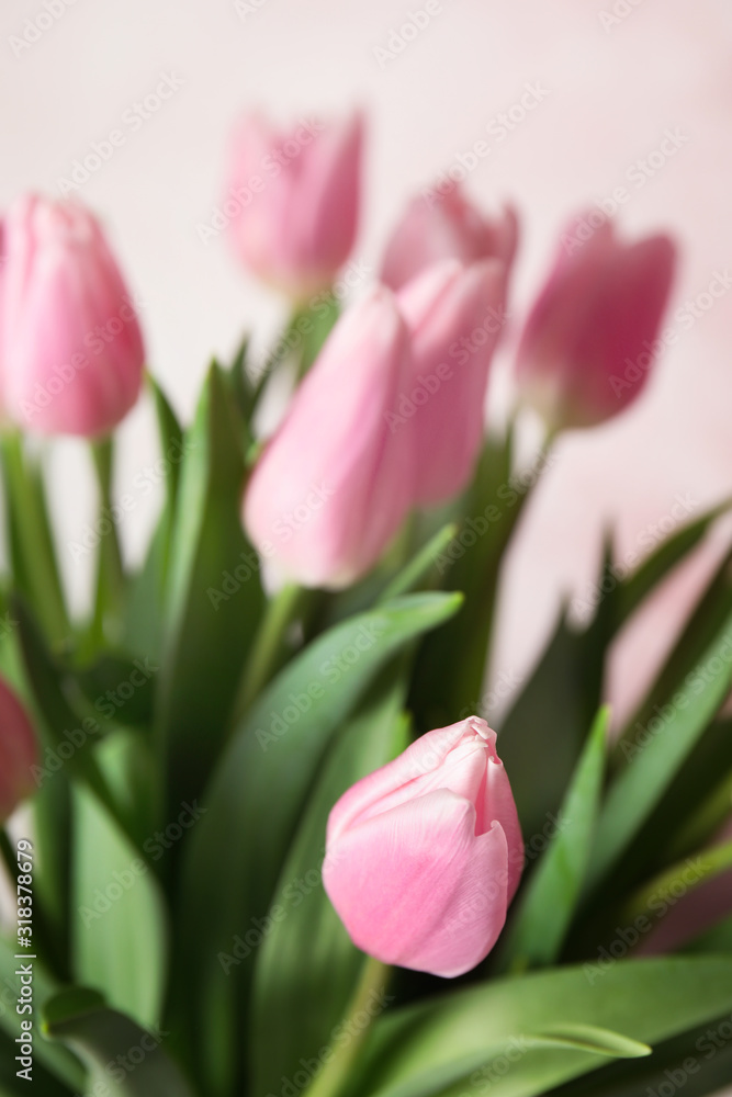 Bouquet of beautiful spring tulips on light pink background, closeup Bouquet of beautiful spring tulips on light pink background, closeup