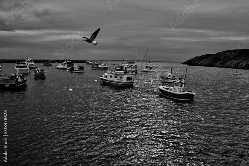 Le port de Le Conquet ,commune française du département du Finistère, en région Bretagne