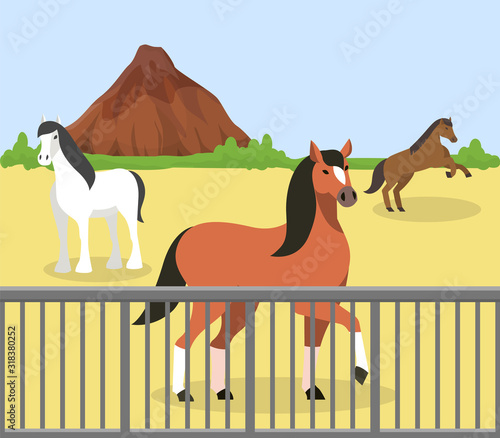 Horses outdoor behind fence on manege at hippodrome, ranch, farm stable vector illustration. Purebred racehorses domestic animal husbandry nature mountain rock landscape.