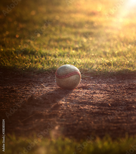 Принти на полотні Baseball season starts at the ball park