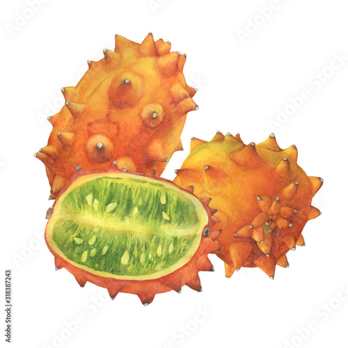 Two ripe whole and cut in half of Cucumis metuliferus (also called an African horned cucumber, spiked melon, kiwano). Hand drawn botanical watercolor painting illustration isolated on white background