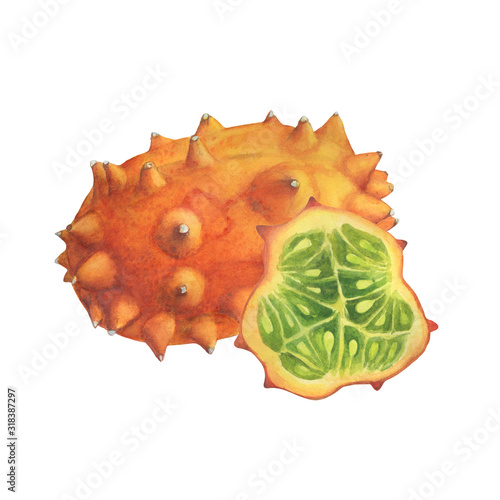 Ripe whole and slice of Cucumis metuliferus (also called an African horned cucumber, spiked melon, kiwano). Hand drawn botanical watercolor painting illustration isolated on white background.