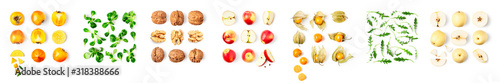 Different fruits set and creative banner.