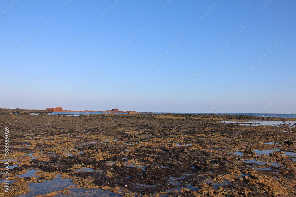 Obraz premium view of the beach