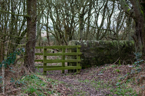 Woodland gate