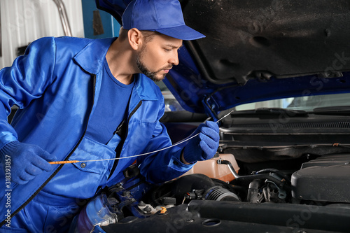 Male mechanic checking leve...
