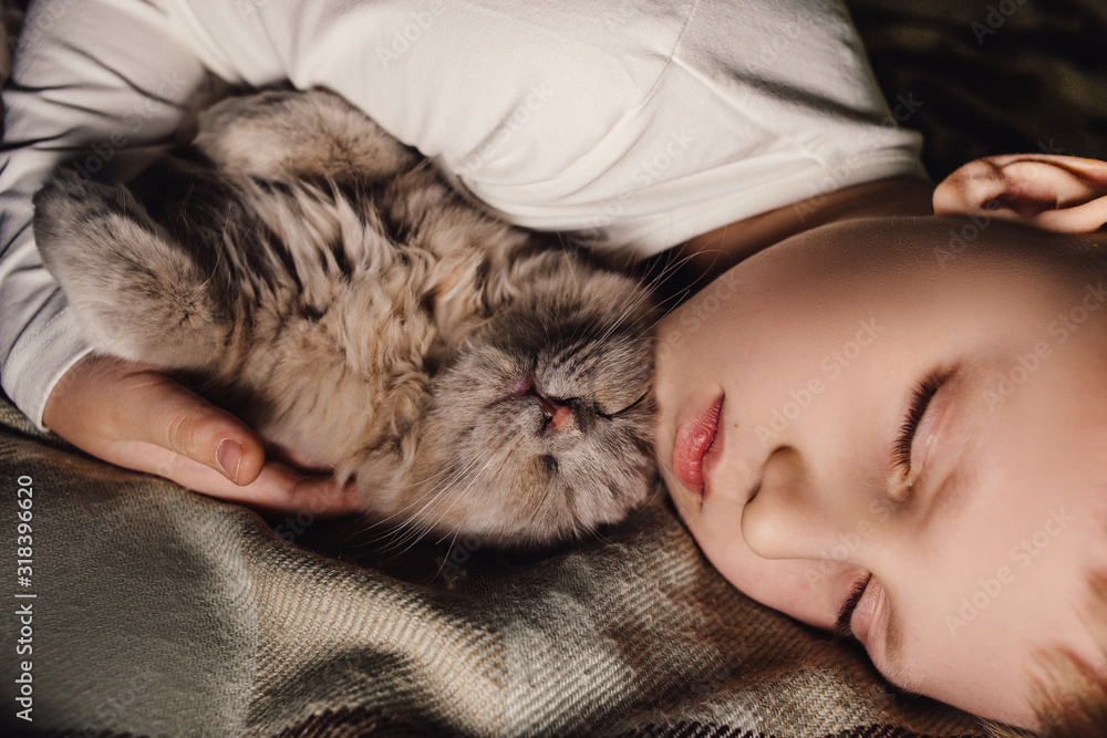Boy and cat. Scottish fold cat in the arms of a boy. The concept of a pet in family education and a loving home. Horizontal. Boy and cat. Scottish fold cat in the arms of a boy. The concept of a pet in family education and a loving home. Horizontal.