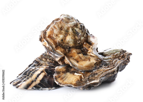 Fresh raw oysters seafood d...