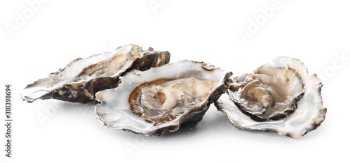 Tasty oysters on white background