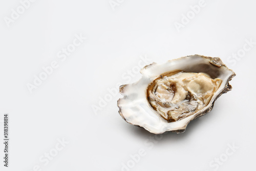 Tasty oyster on white background